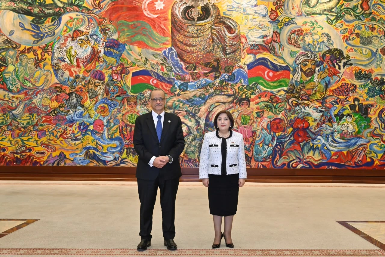 Azerbaijan, OIC discuss ways to expand cooperation (PHOTO)
