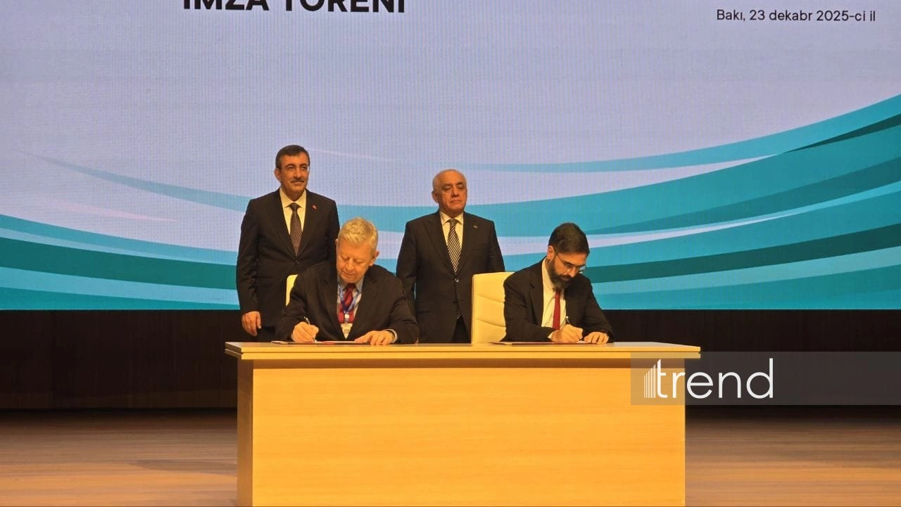 Azerbaijan's SOCAR acquires power plant in Türkiye