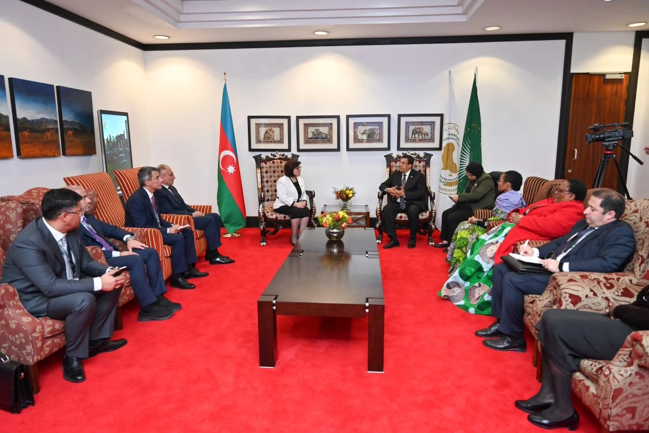 Azerbaijan's Parliament Speaker meets President of Pan-African Parliament (PHOTO)