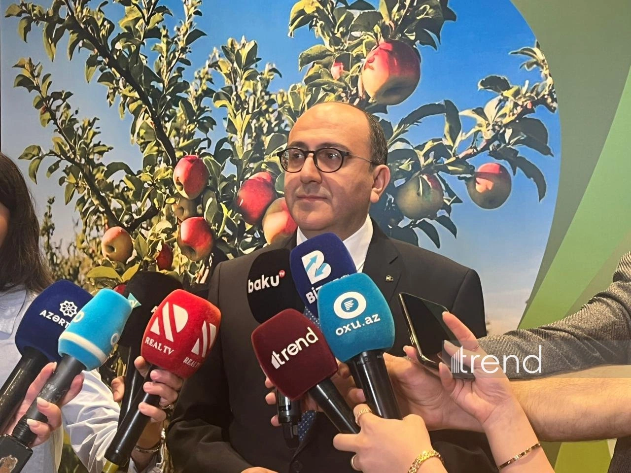 Azerbaijan moves from planting subsidies to production-based support - official