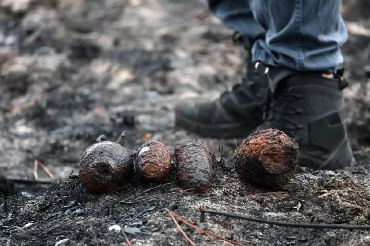 More than 400 WWII shells found in French village after wildfires