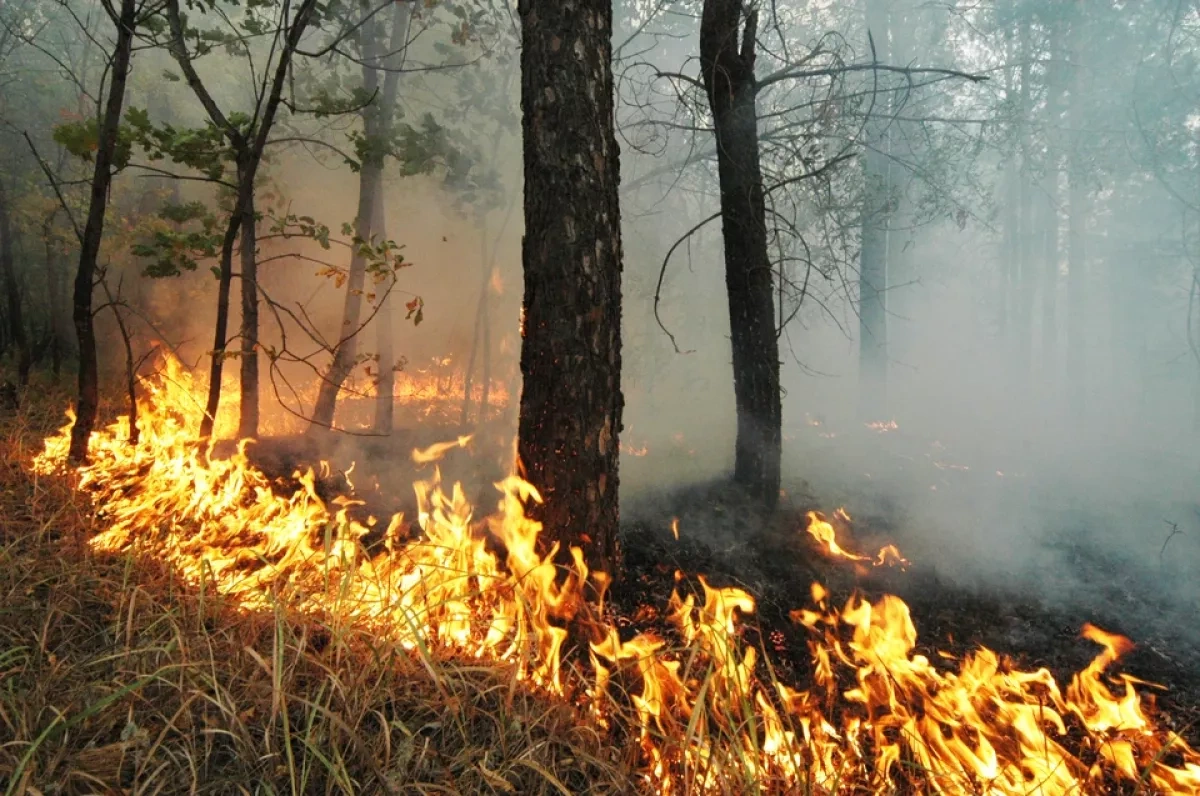 Extreme fire danger forecast in parts of Kazakhstan