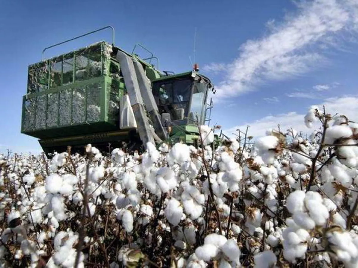 Demand for accountability Saatli hosts key talks on Azerbaijan’s agricultural future