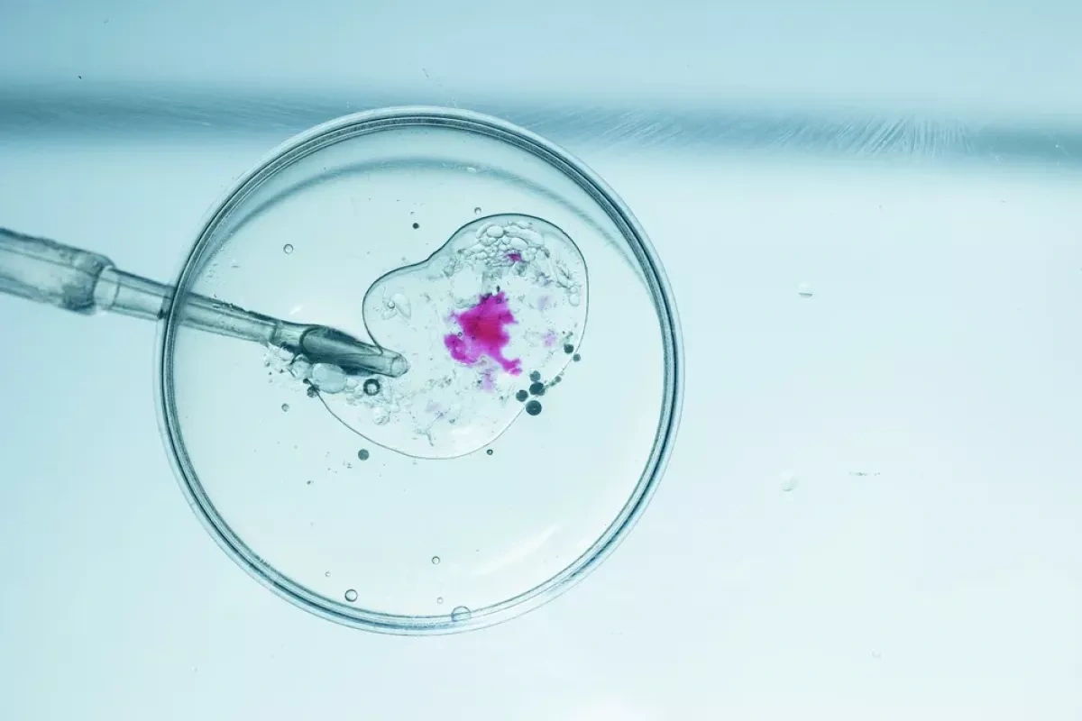 Japan moves to ban gene editing for human reproduction