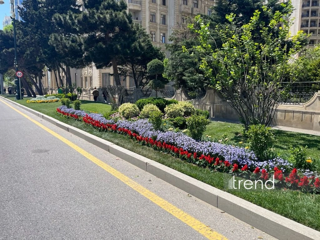 Azerbaijan's Baku blossoms with flowers ahead of WUF13 conference (PHOTO)