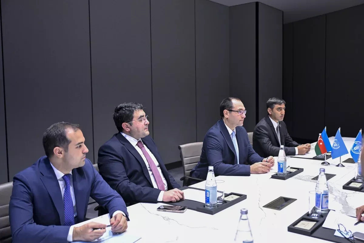Azerbaijan, FAO discuss prospects for further cooperation PHOTO