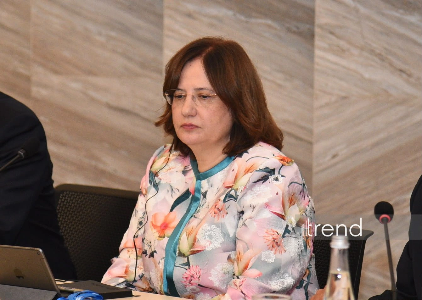 Türkiye set to increase electrification rate to 35% by 2035 - official