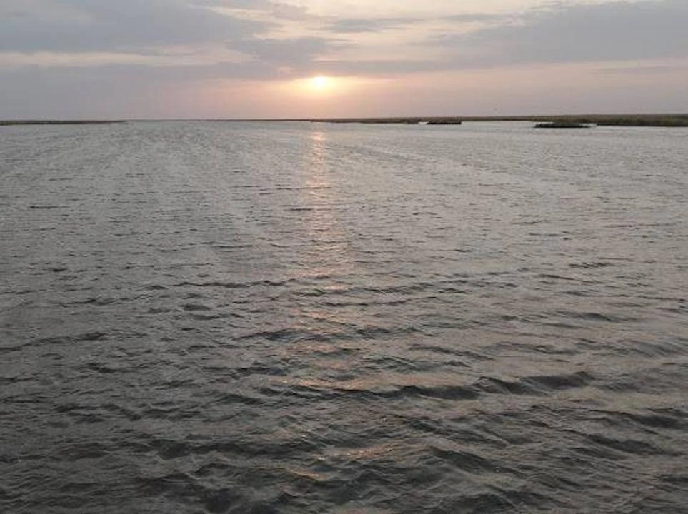 Uzbekistan, UNDP review efforts to restore Aral Sea ecosystems