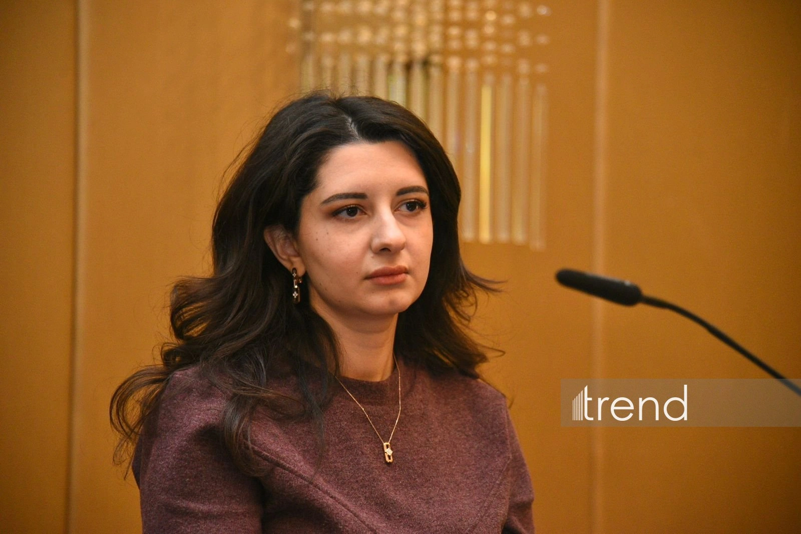 Azerbaijan consistently expands and deepens cooperation with Central Asia - analyst