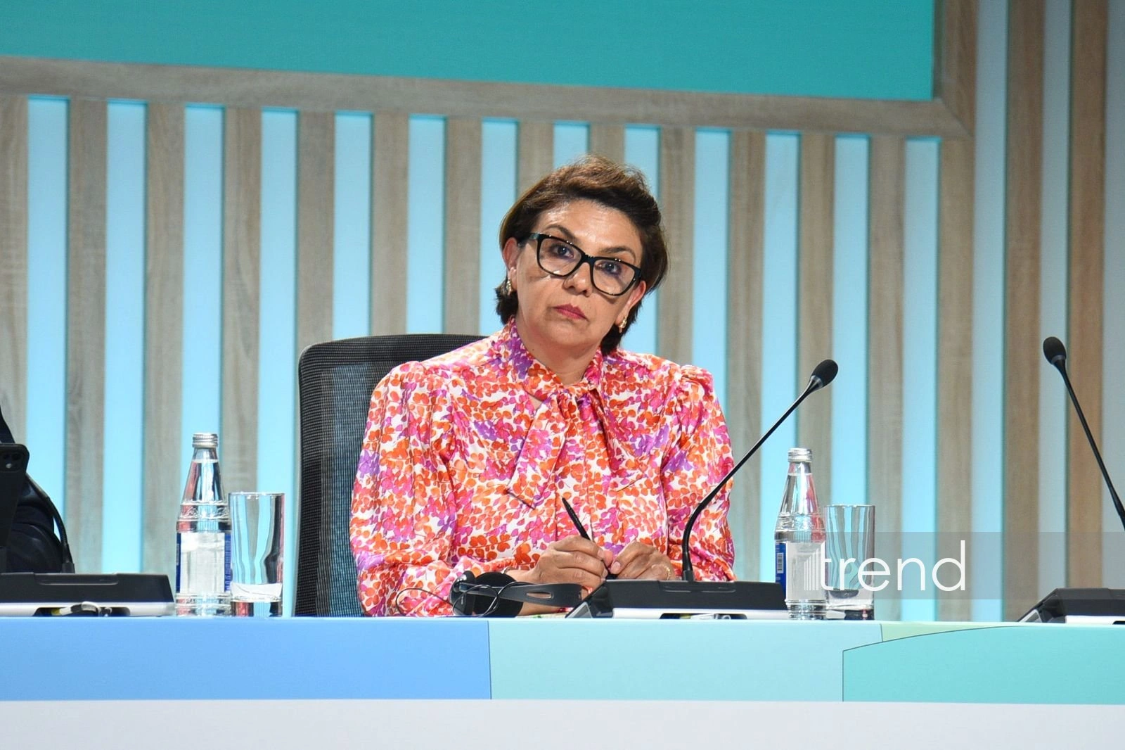 Mexico to immediately launch operational preparations for WUF14 - ambassador