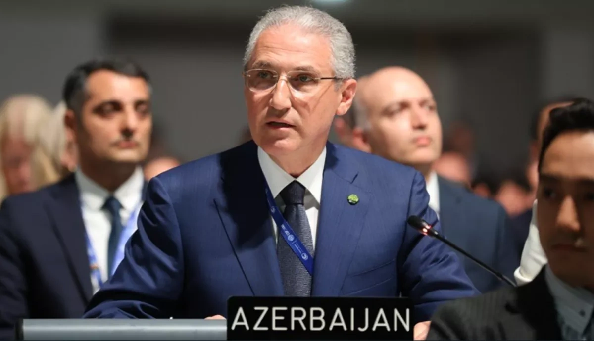 Official: Türkiye has potential to mobilise countries on climate agenda
