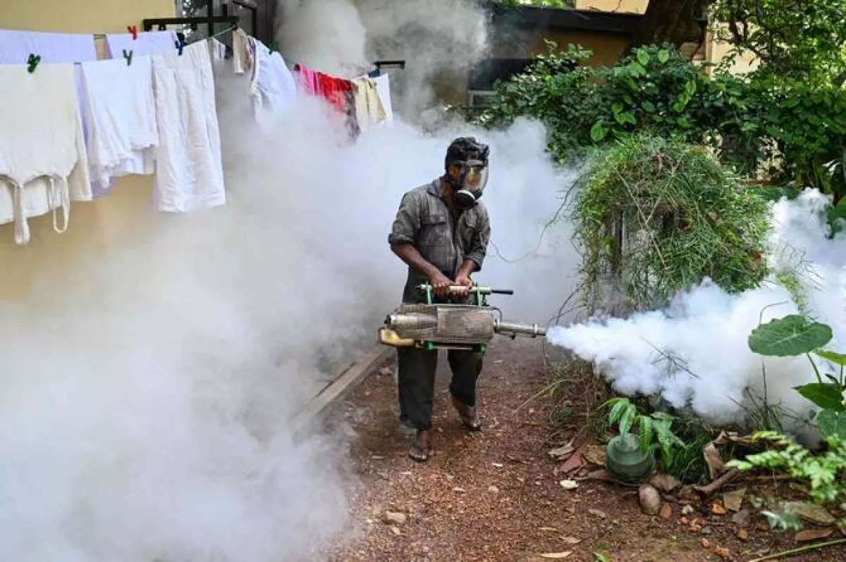 Sri Lanka battles dengue surge as more than 52,000 infections sweep island