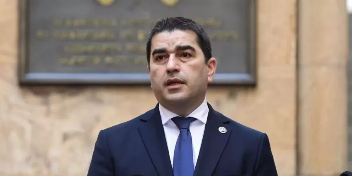 Georgian top lawmaker accuses European Commission of hypocrisy