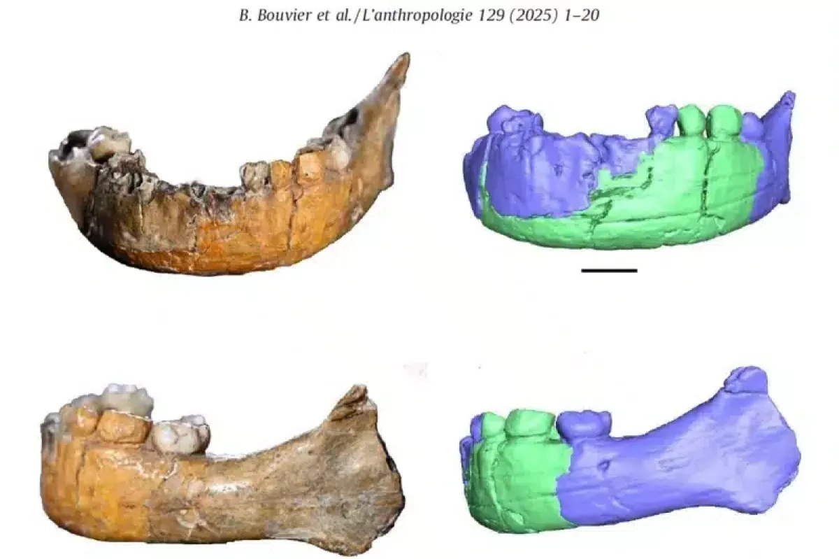 New study claims 140,000-year-old child may be earliest human–Neanderthal hybrid PHOTO