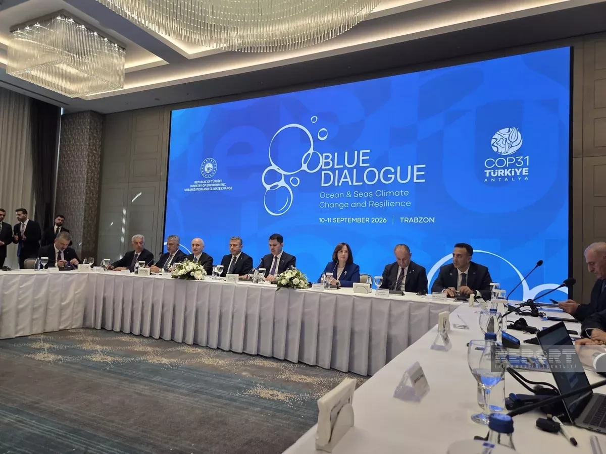 Minister: Azerbaijan’s COP29 experience "highly valuable" for Türkiye