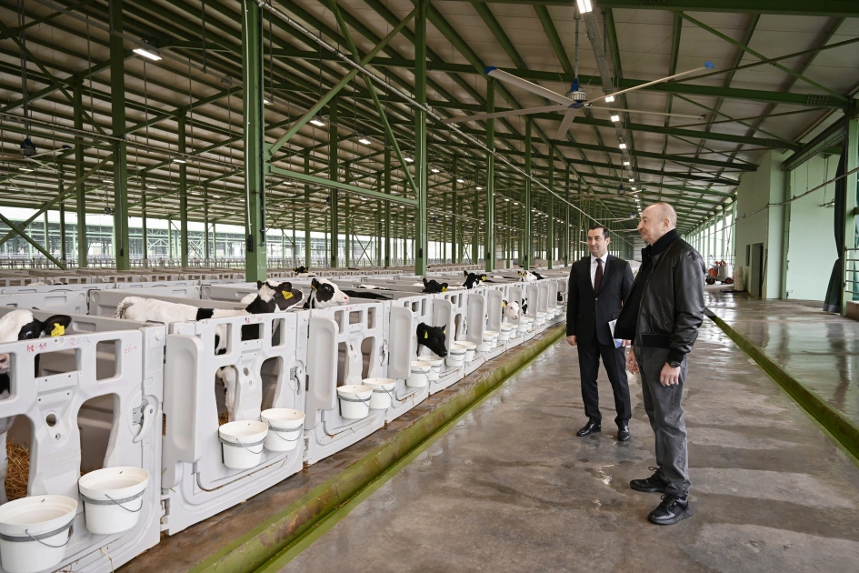 President Ilham Aliyev attends opening of Shirvan Agro livestock complex in Shamakhi (PHOTO)