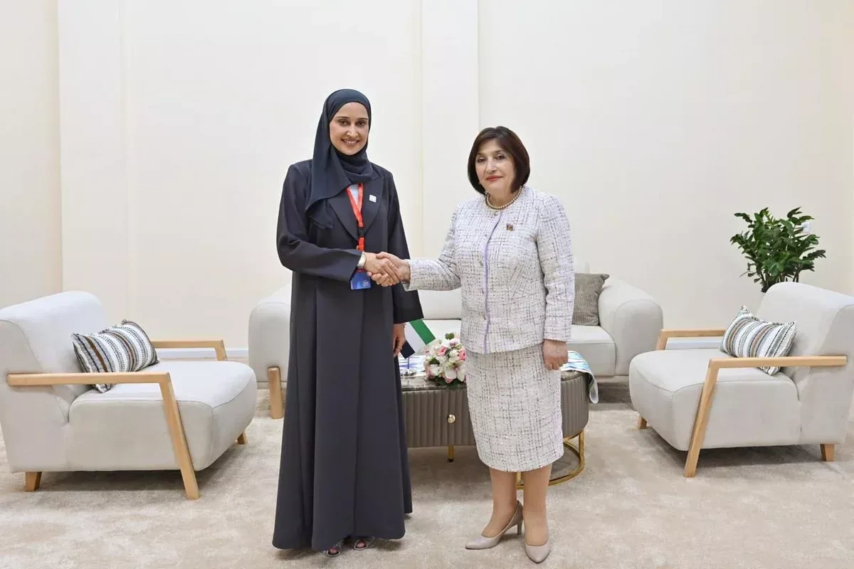 Azerbaijan, UAE review cooperation in global organizations PHOTO