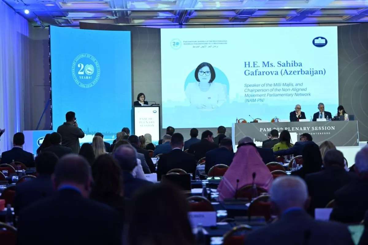 Azerbaijani chairwoman addresses summit of Parliamentary Assembly of Mediterranean PHOTO