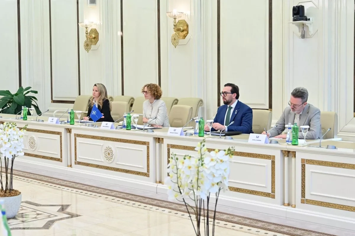 Azerbaijan, NATO discuss current, future cooperation, regional security PHOTO