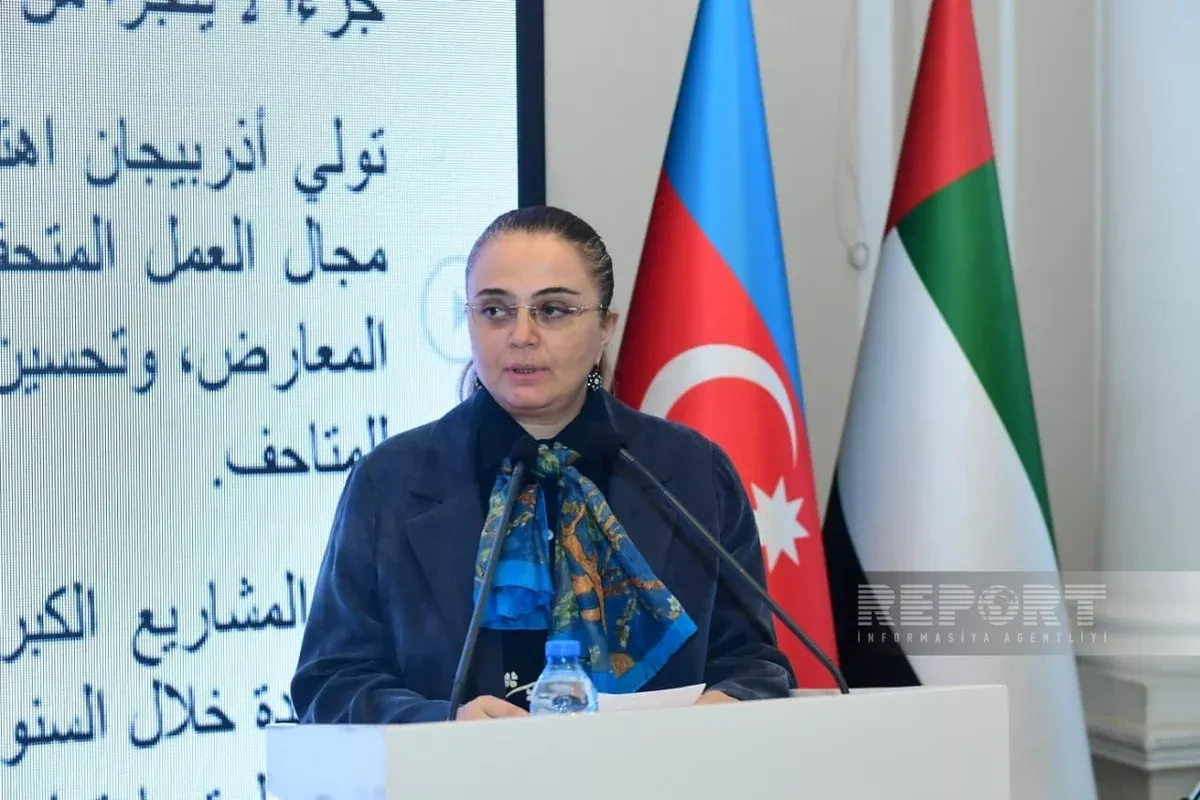 Official: Azerbaijan, UAE explore new areas of cultural cooperation