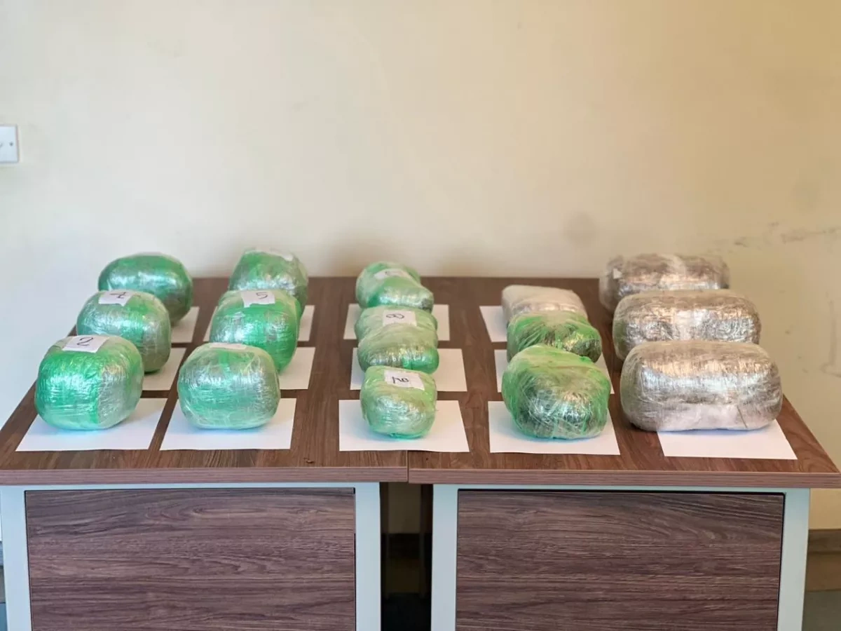 June border sweep in Azerbaijan: 21 detained, 6 drones intercepted PHOTO