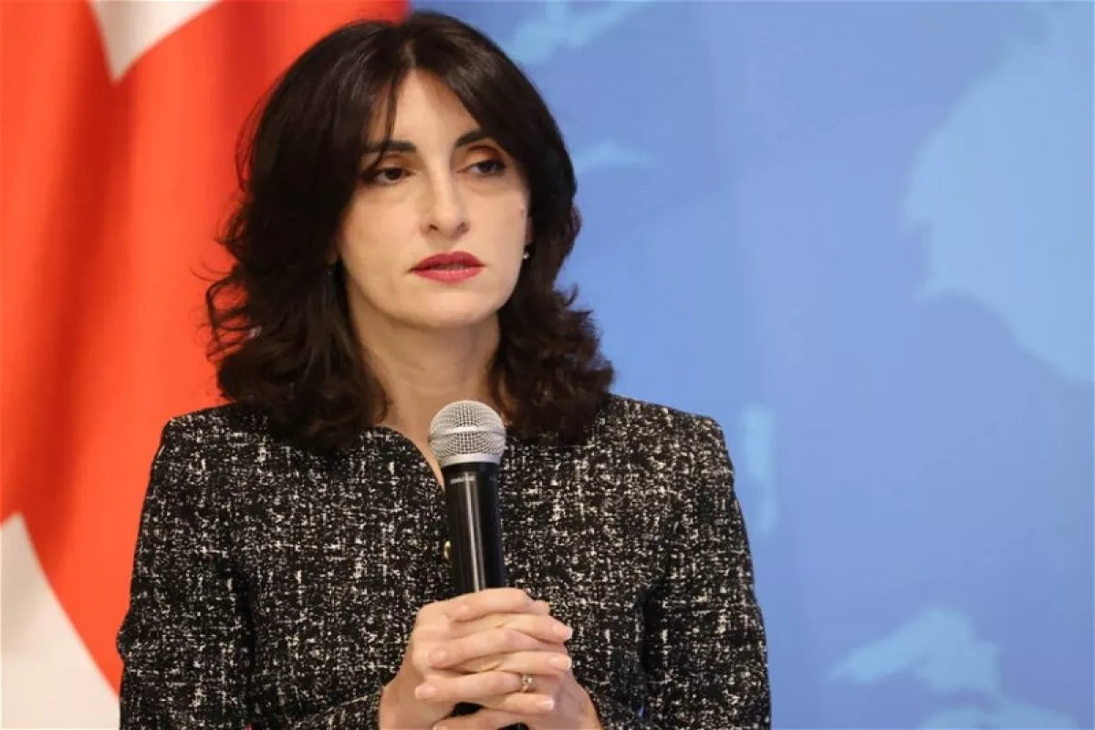 Georgian FM reaffirms EU integration as strategic goal