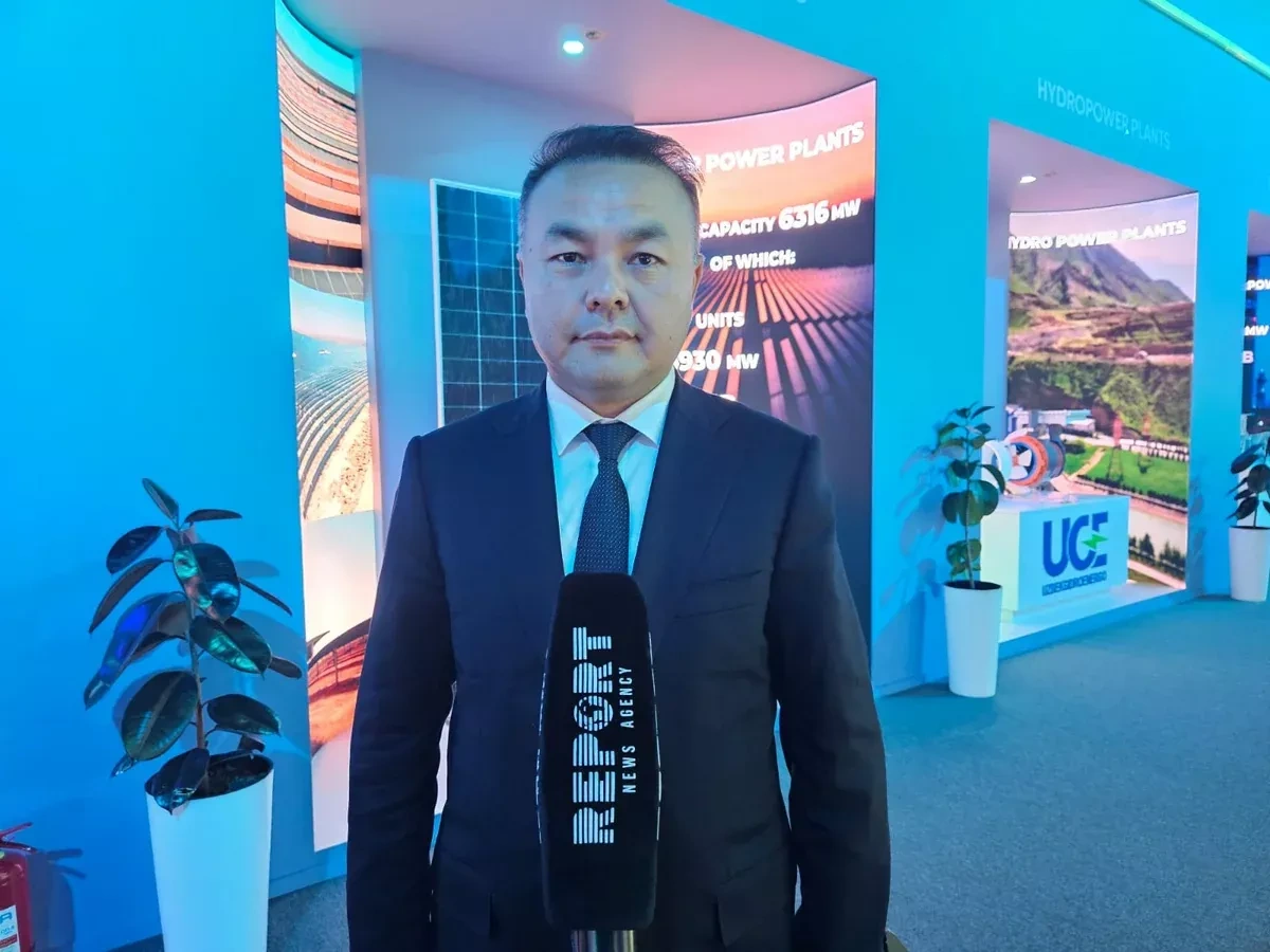 SOCAR, Uzbekneftegaz actively cooperating, Uzbek official says
