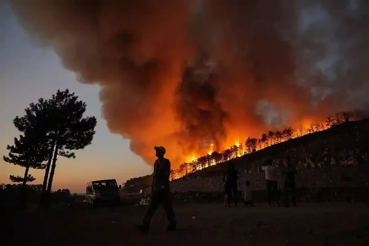 Türkiye arrests six suspects linked to recent wildfires