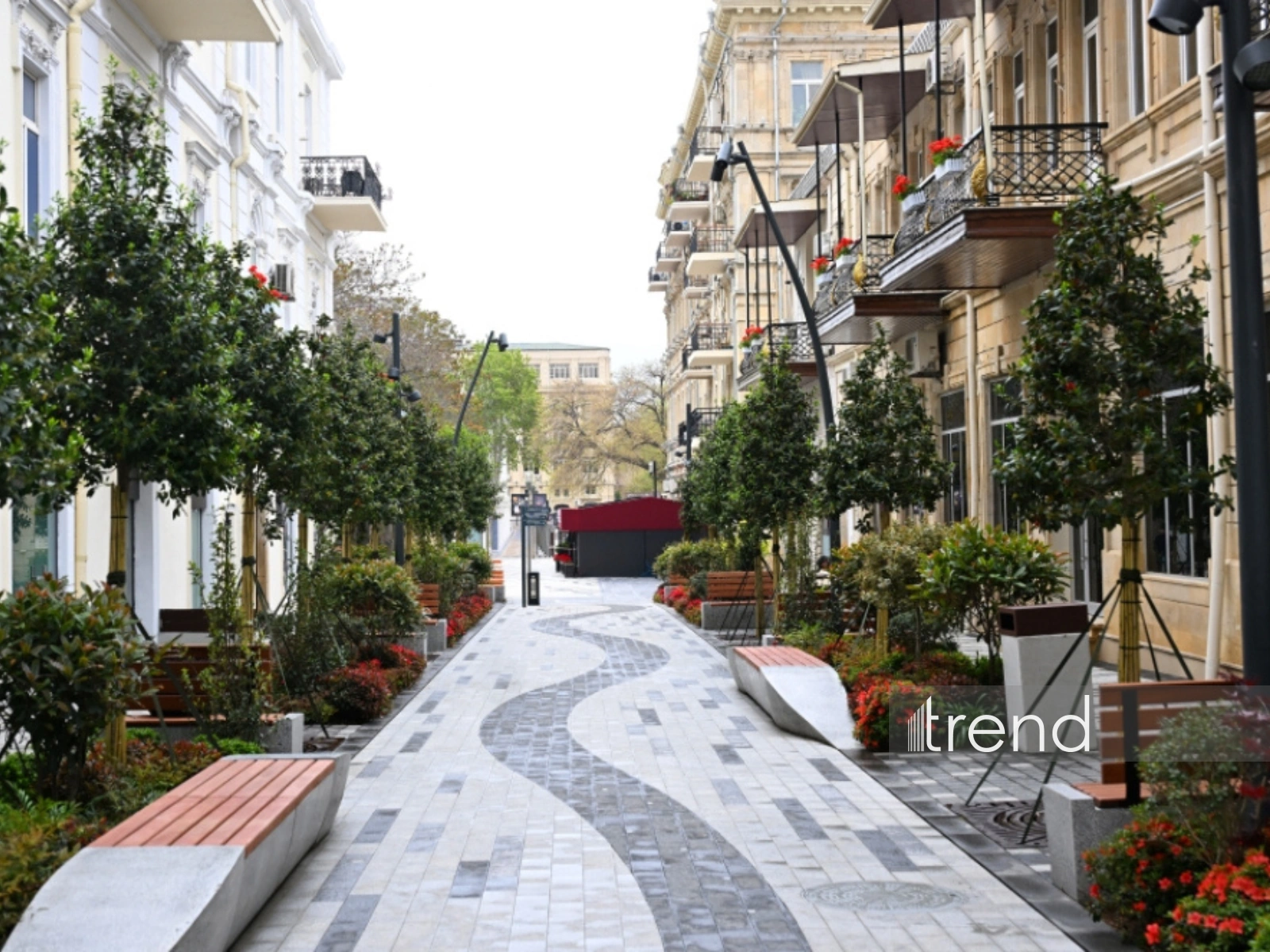 Azerbaijan's Baku blossoms with flowers ahead of WUF13 conference (PHOTO)