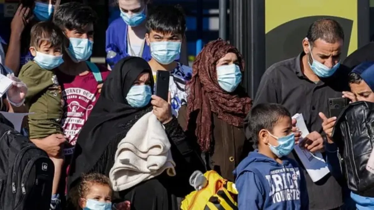 Schengen under pressure: why is the EU tightening its migration policy? Article by Matanat Nasibova