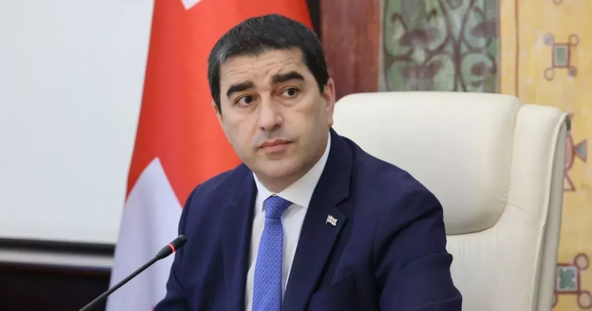 Georgia’s Parliament Speaker accuses EU of "encouraging radicalism"