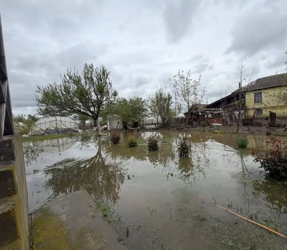 Heavy rains flood homes, farmland in Georgia’s Kakheti region PHOTO / VIDEO