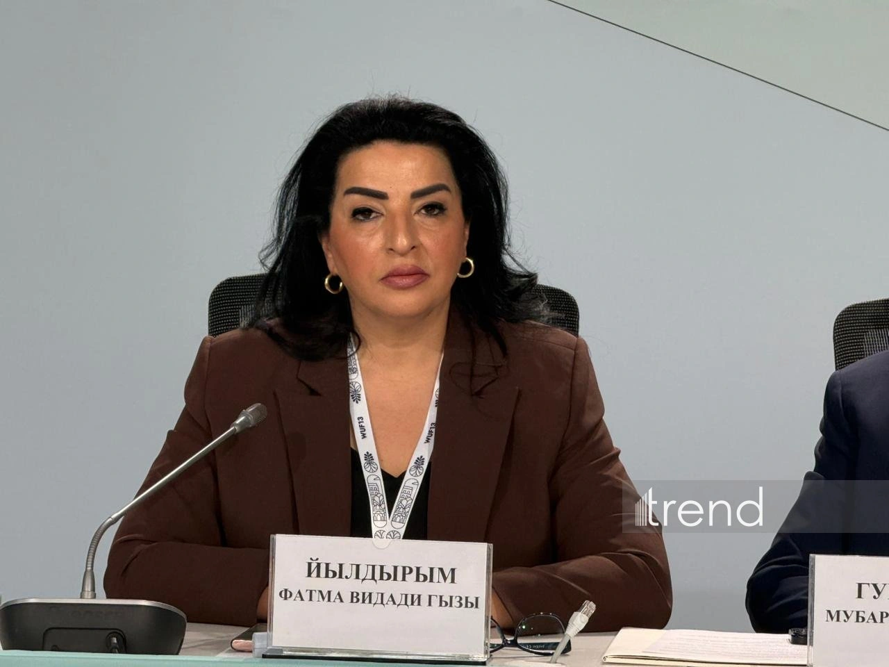 Azerbaijan implements state policy aimed at creating ecologically sustainable cities - MP