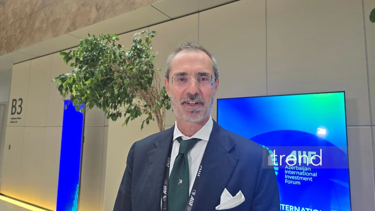 Azerbaijan ranks among regional leaders in attracting foreign investors - TEHA Group