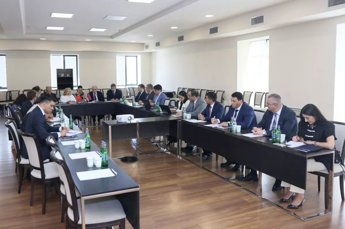 Armenia, Türkiye discuss restoration of historic Ani Bridge