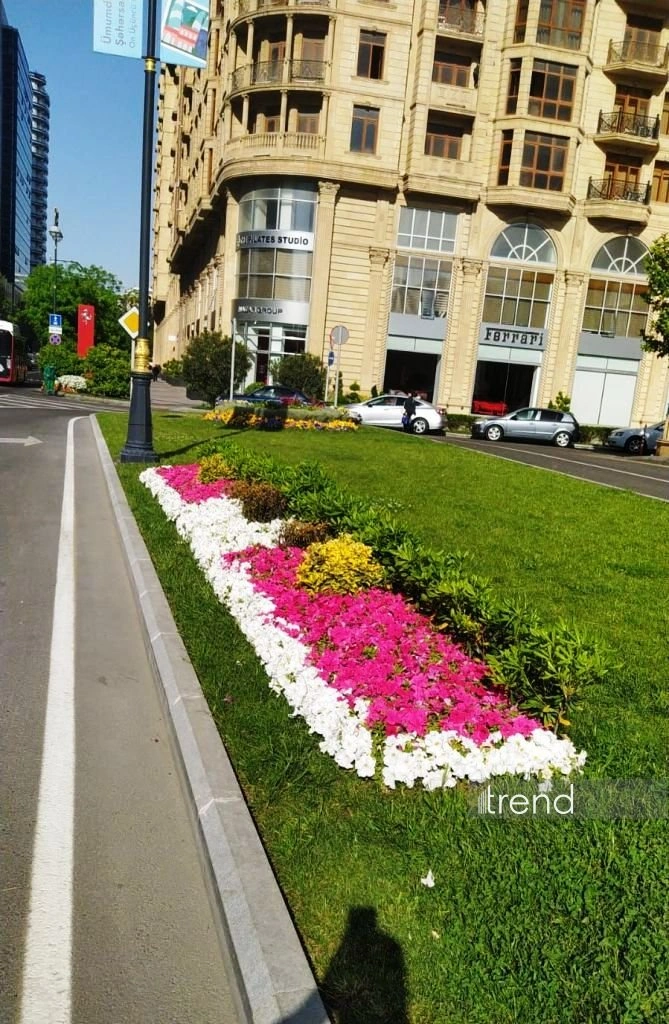 Azerbaijan's Baku blossoms with flowers ahead of WUF13 conference (PHOTO)