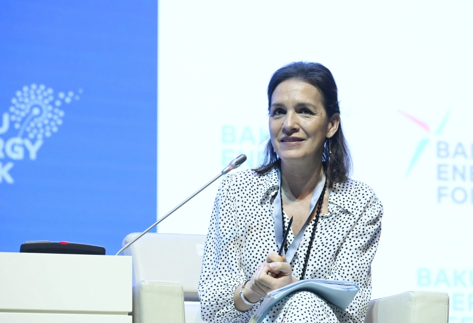 EU-Azerbaijan partnership holds strategic nature and strengthens Europe's energy security