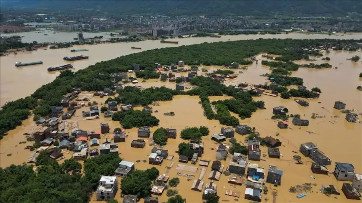 Hundreds of poisonous snakes escape into Chinese city following floods VIDEO