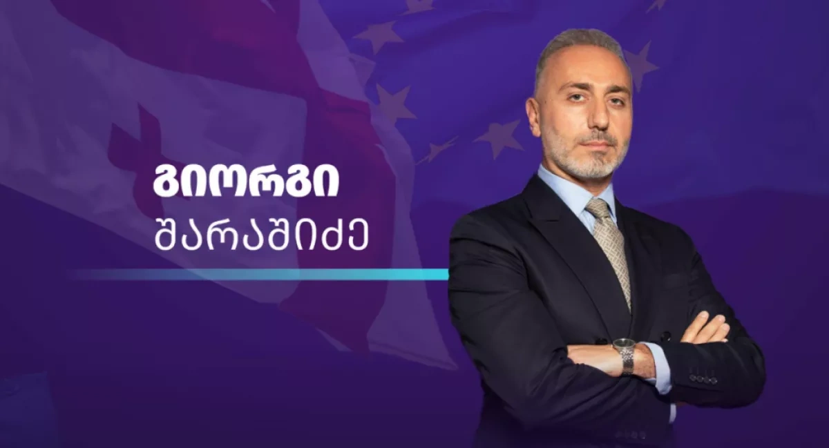 Nine parties against Georgian Dream A new alliance with an old agenda