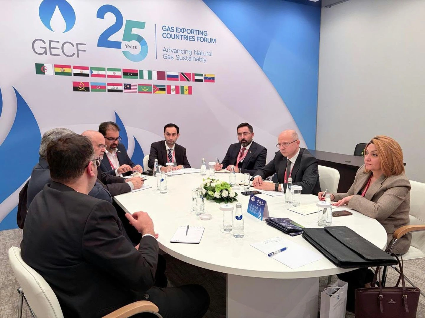Azerbaijan, Iran discuss energy cooperation and future prospects (PHOTO)
