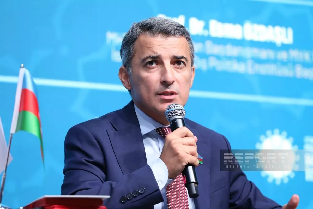Azerbaijani MP calls for common university programmes across Turkic states