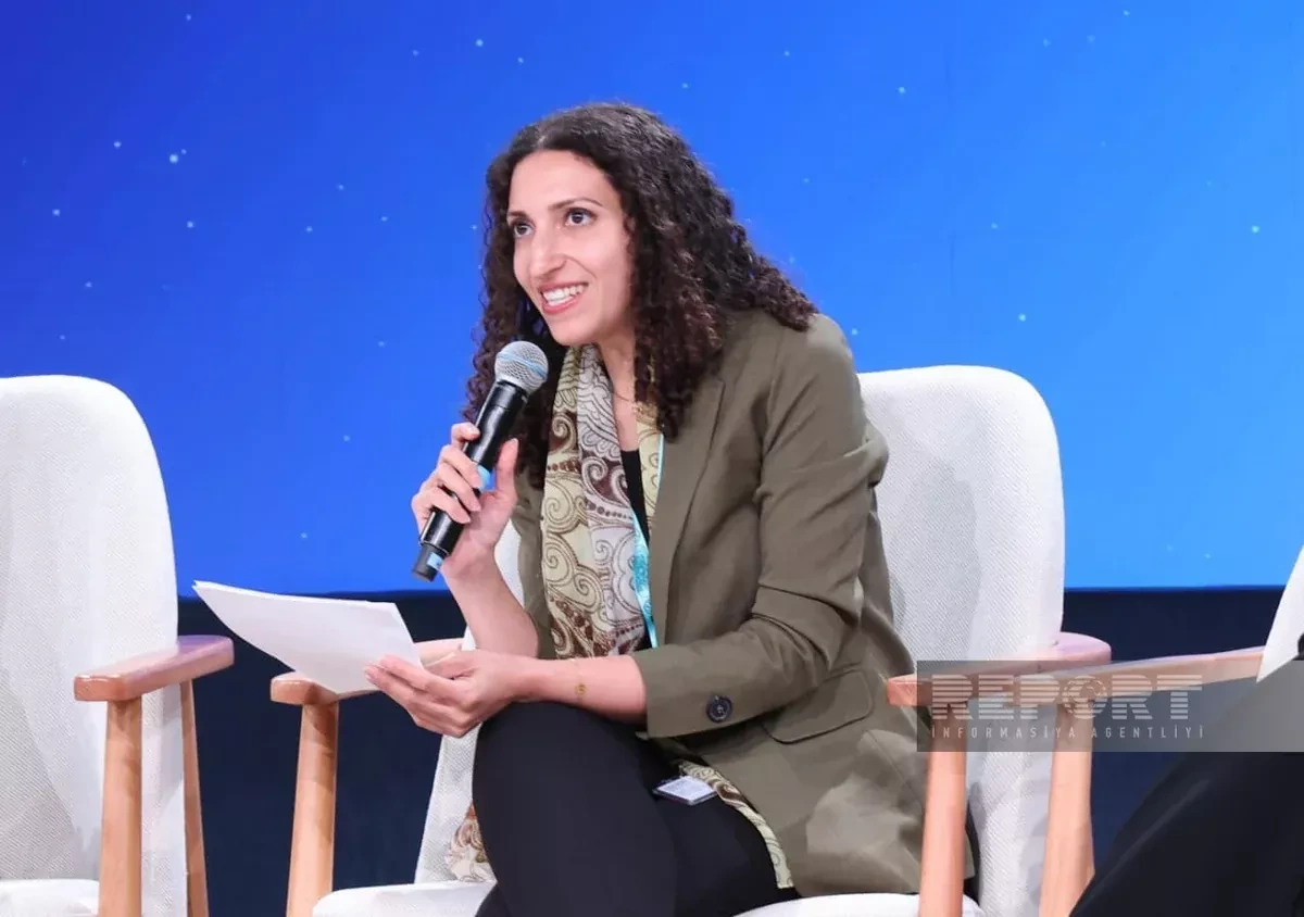 Egyptian expert highlights challenges facing Arab countries