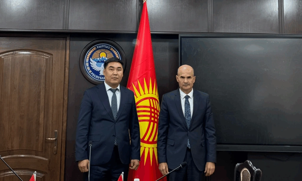 Kyrgyzstan and Iraq discuss development of international road transport