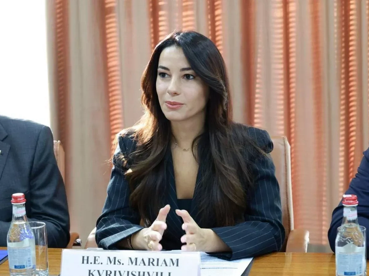 BTK railway has strategic importance for region, Georgian minister says