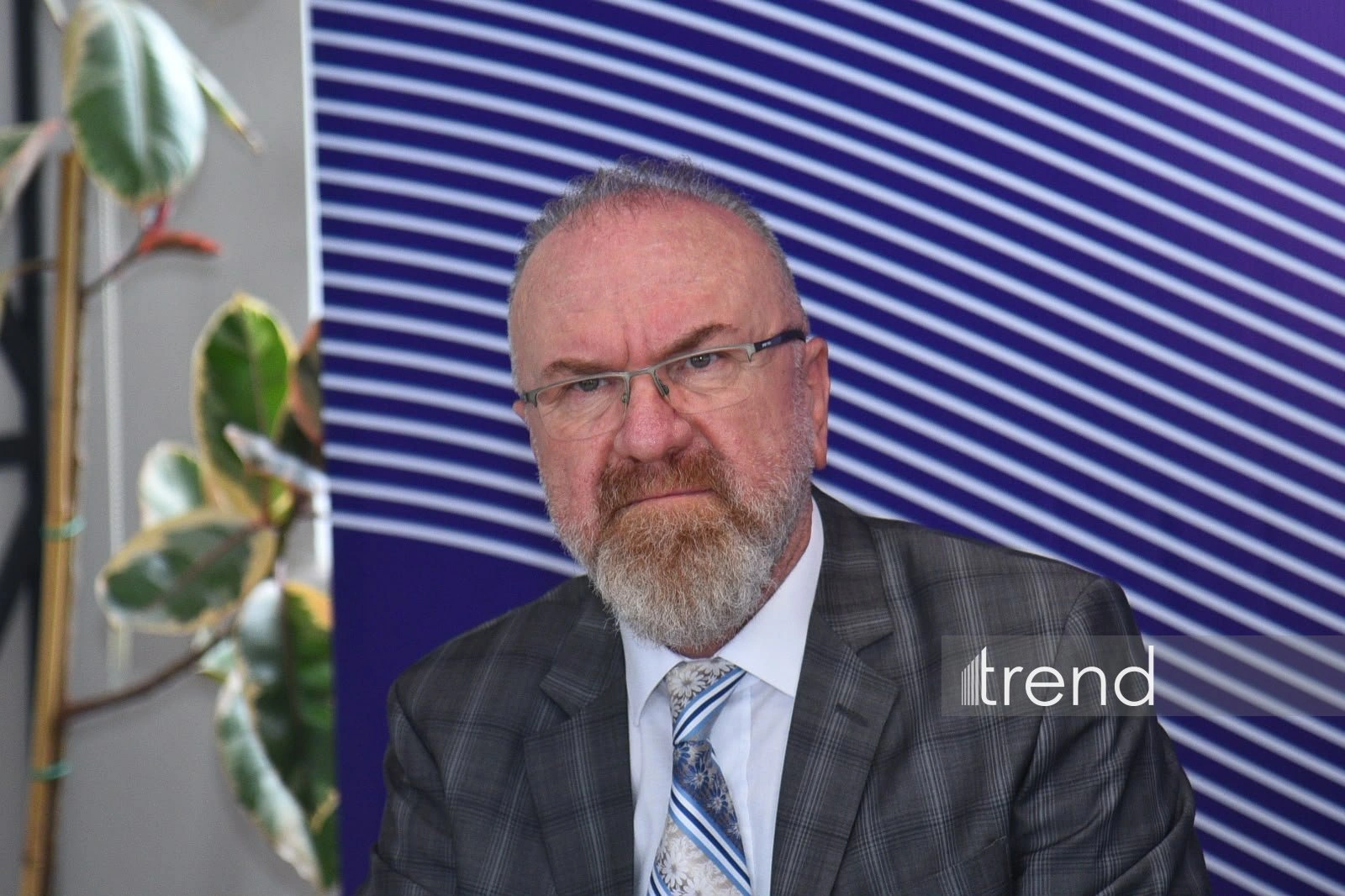 Сonference on cultural diversity begins in Shusha (PHOTOS)