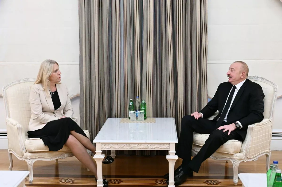 Bosnian presidency member voices full support for Azerbaijan amid Iranian attacks