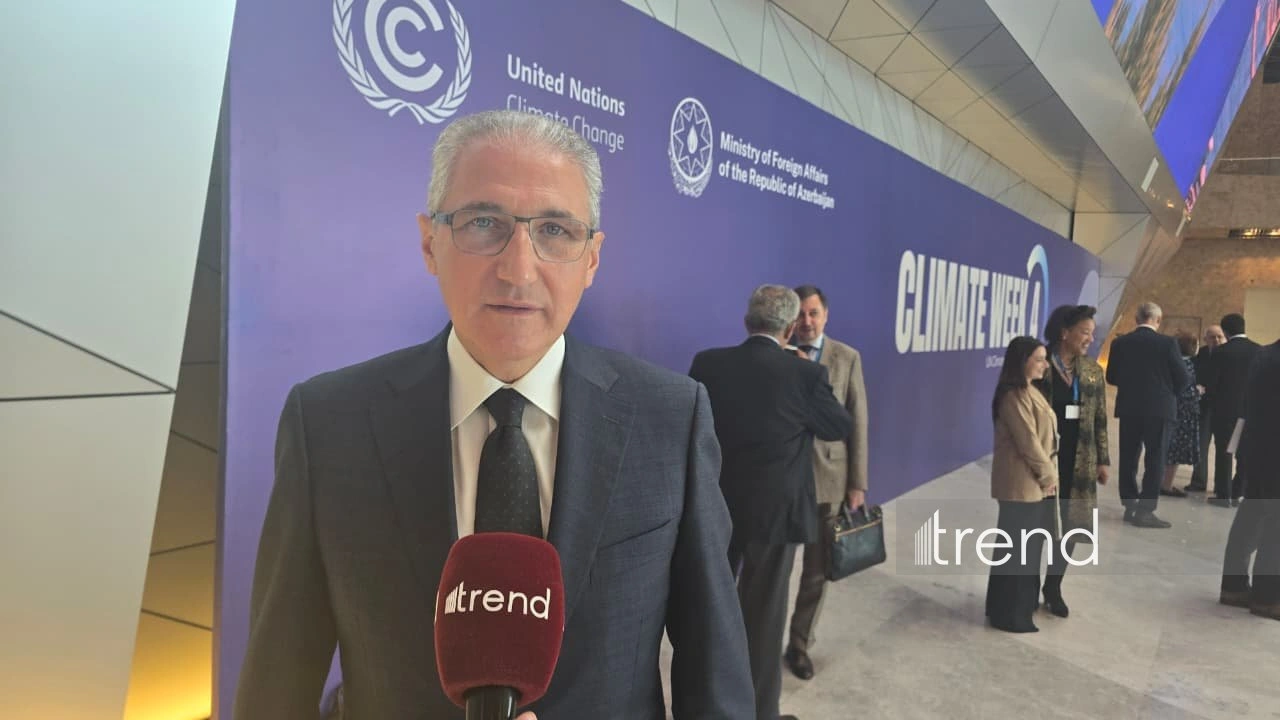 Azerbaijan to be represented by large delegation at COP31 (Exclusive)