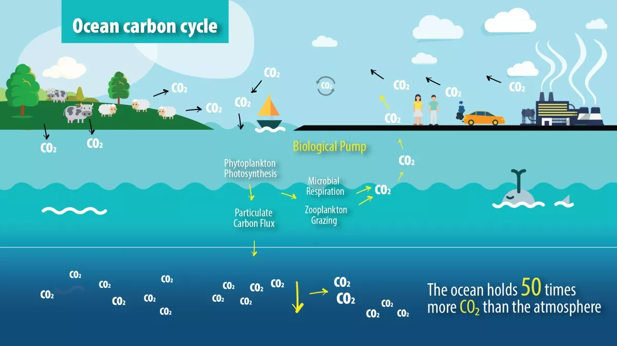 Why debates over climate, migration crises ignore shouldn't ignore illegal fishing