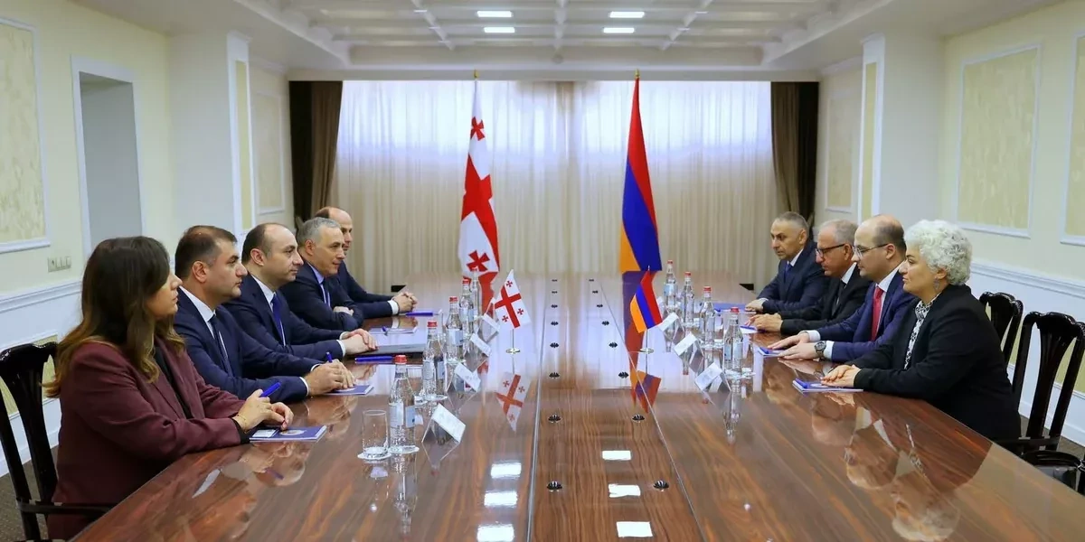 Georgia, Armenia security chiefs discuss regional stability PHOTO