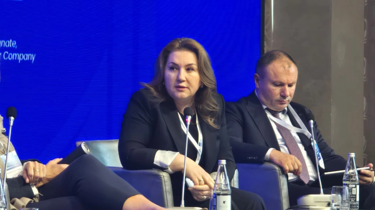 AGEC says local, cross-border grids key to renewable energy investment